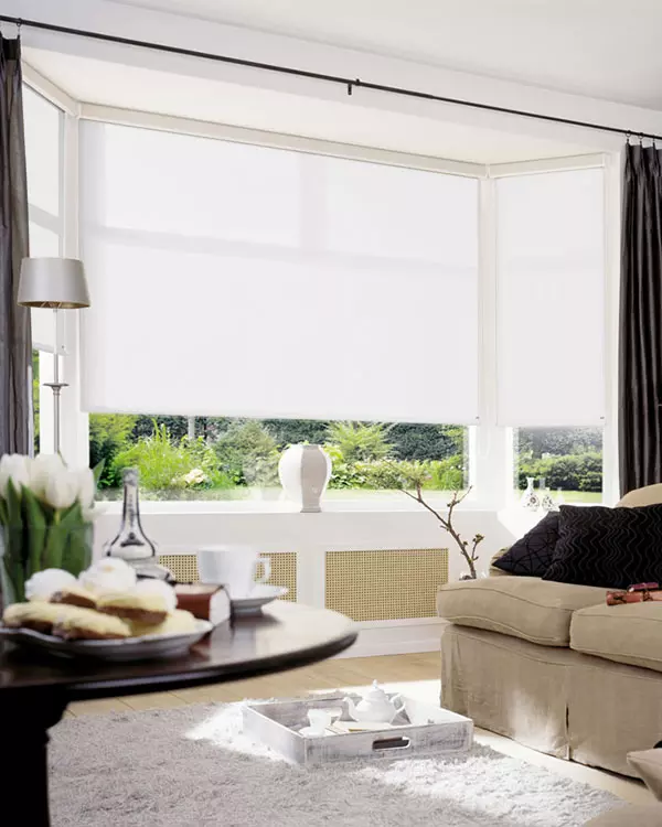 Por Qué es Importante Lavar las Cortinas Roller a Tiempo